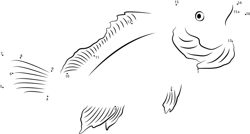 Australasian Snapper dot to dot worksheets