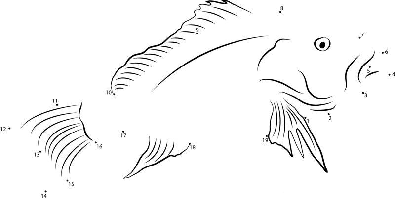 Lutjanus Campechanus printable dot to dot worksheet