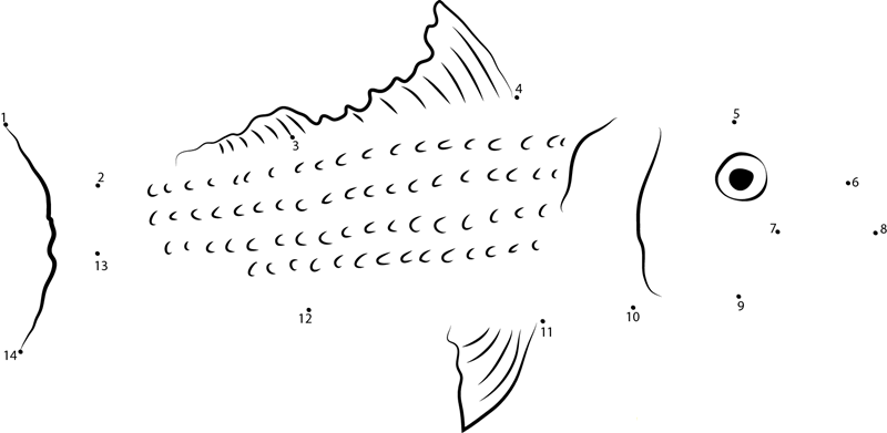 Northern Red Snapper dot to dot worksheets