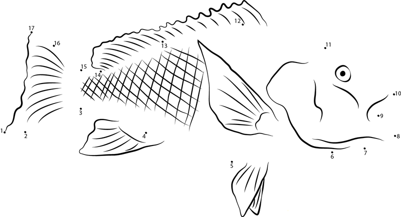 Snapper In National Aquarium dot to dot worksheets