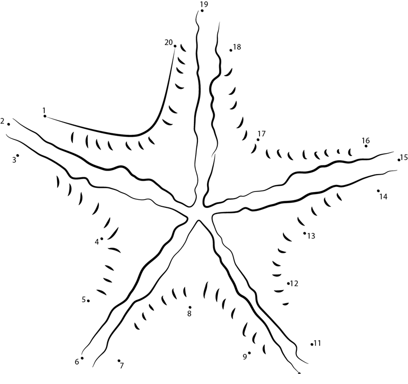 Asteroidea dot to dot worksheets