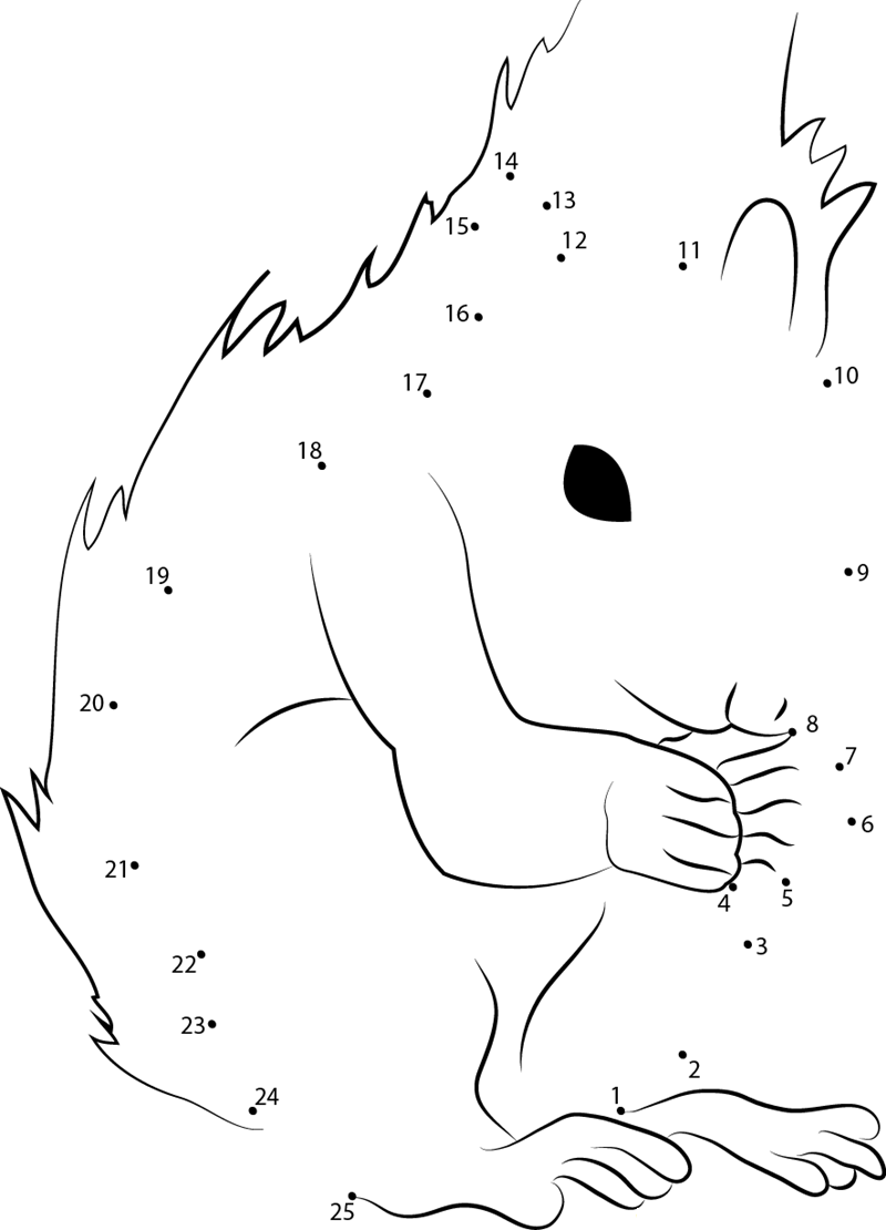 Squirrel Look dot to dot worksheets