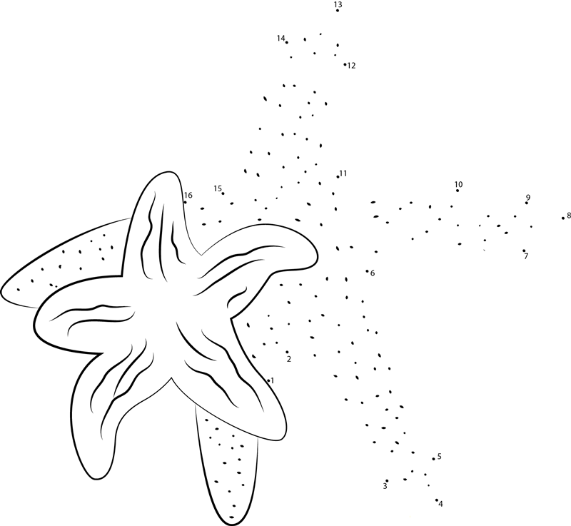 Northern Starfish printable dot to dot worksheet