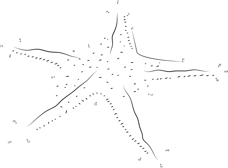 Starfish At Goa printable dot to dot worksheet