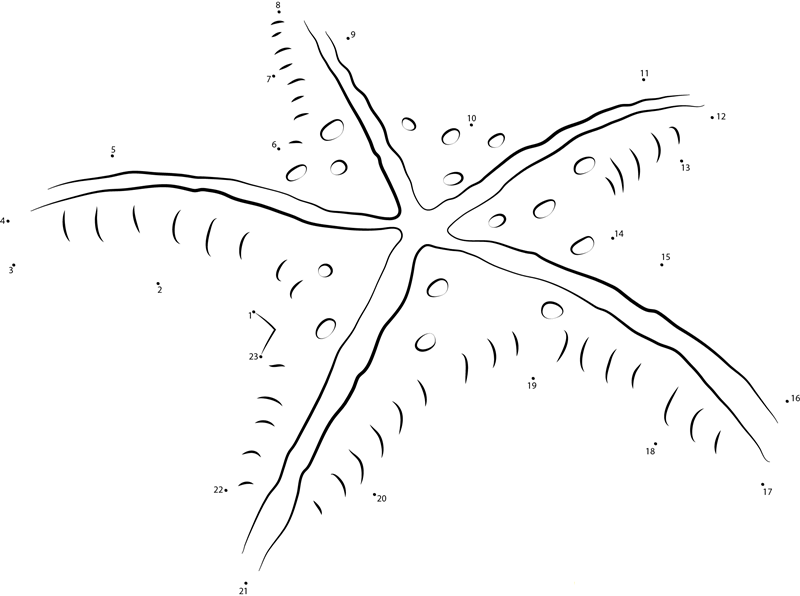 Starfish Philippines printable dot to dot worksheet