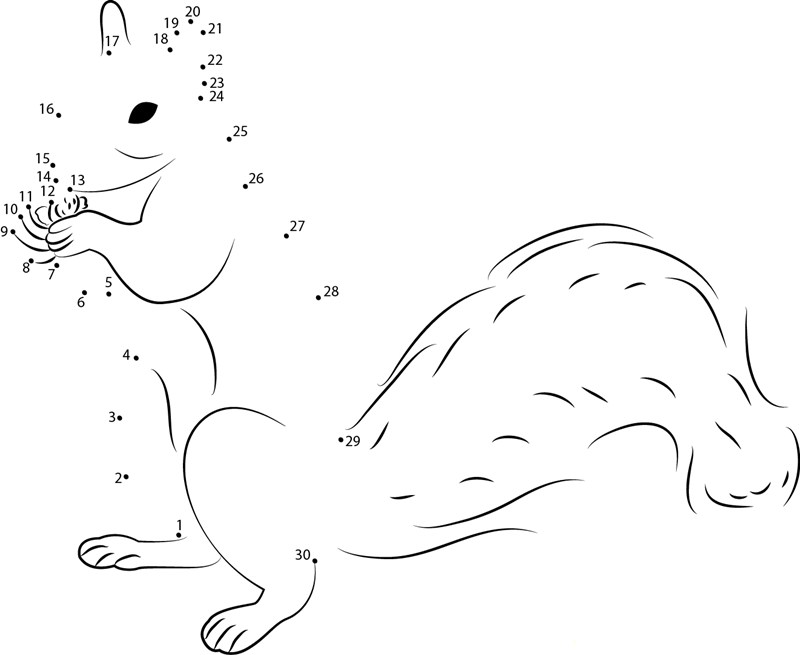 Squirrel Up printable dot to dot worksheet