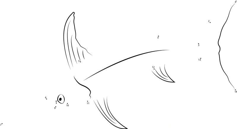 Swordfish Underwater dot to dot worksheets