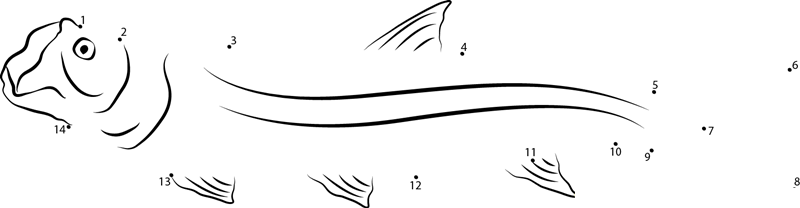 Lake Tarpon dot to dot worksheets