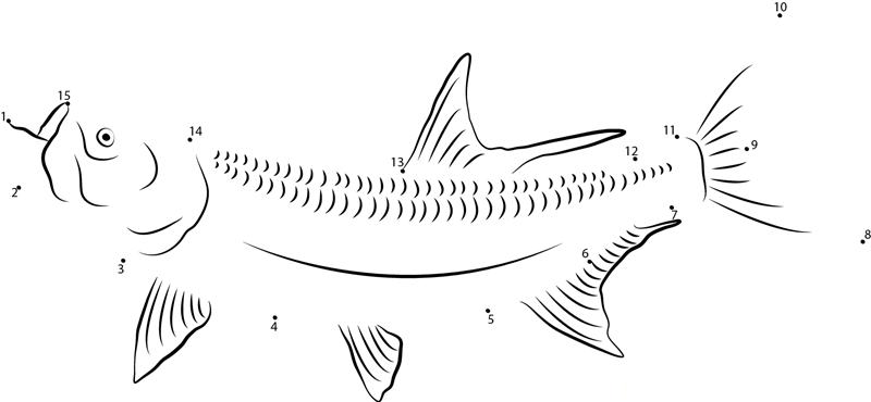 Tarpon Underwater printable dot to dot worksheet