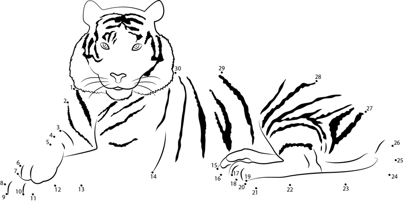 Elegant Tiger dot to dot worksheets