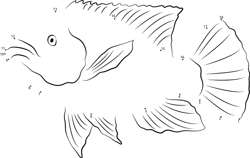 Oreochromis Aureus printable dot to dot worksheet