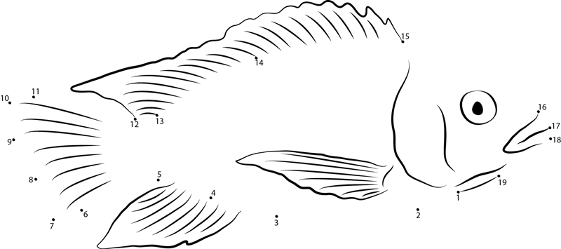 Oreochromis Niloticus printable dot to dot worksheet