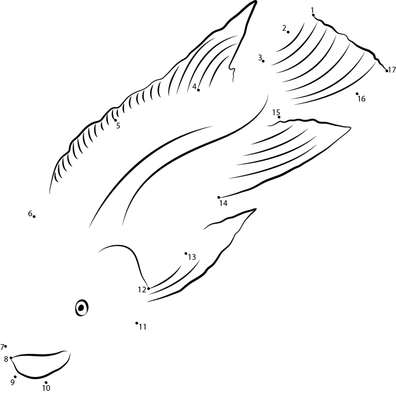 Oreochromis Urolepis Hornorum printable dot to dot worksheet