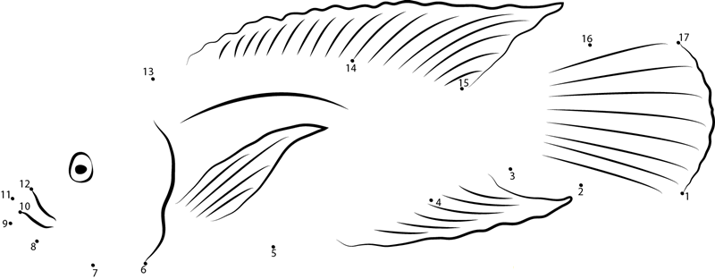 Tilapia dot to dot worksheets