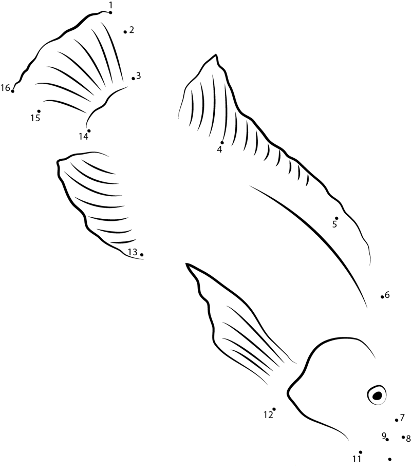 Tilapia In National Aquarium printable dot to dot worksheet