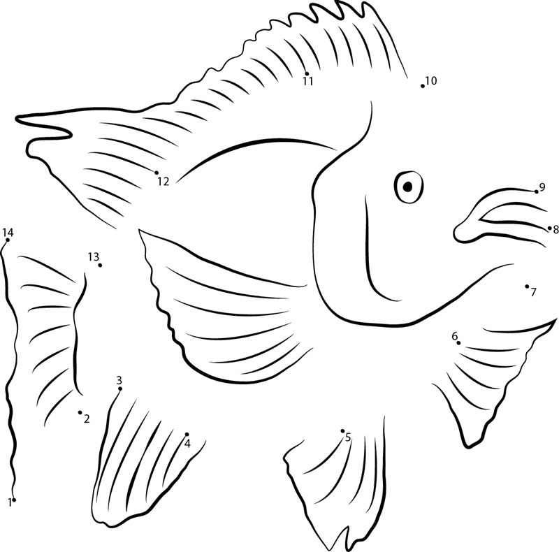 Tilapia Urine printable dot to dot worksheet