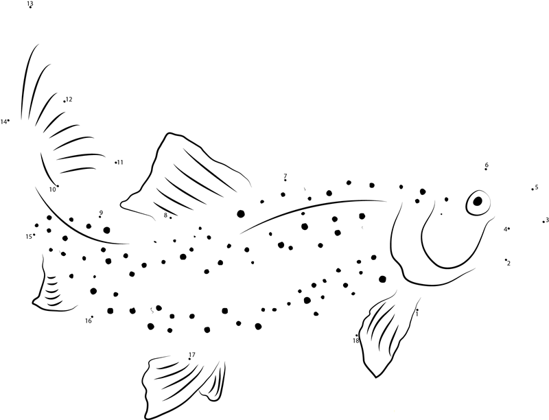 Adult Female Rainbow Trout printable dot to dot worksheet