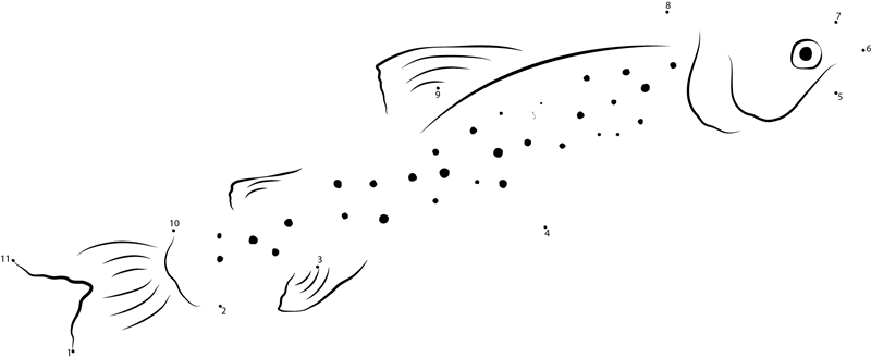 Baby Trout Fish printable dot to dot worksheet