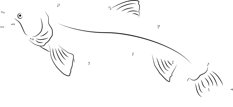 Beardslee Trout printable dot to dot worksheet