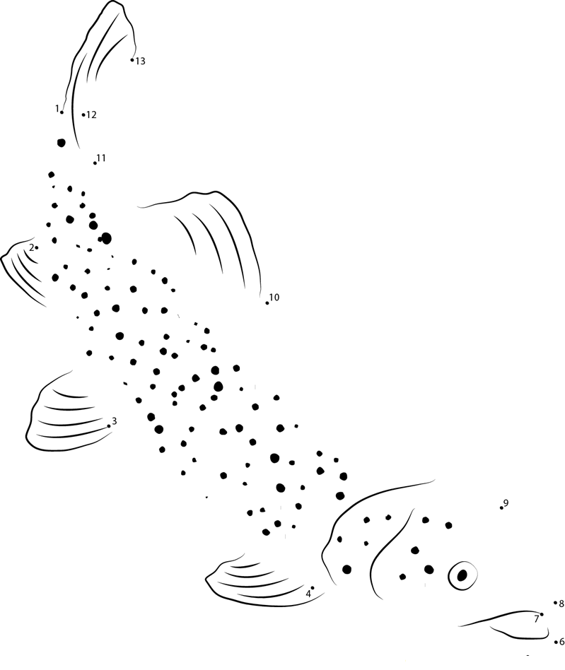 Brook Trout printable dot to dot worksheet