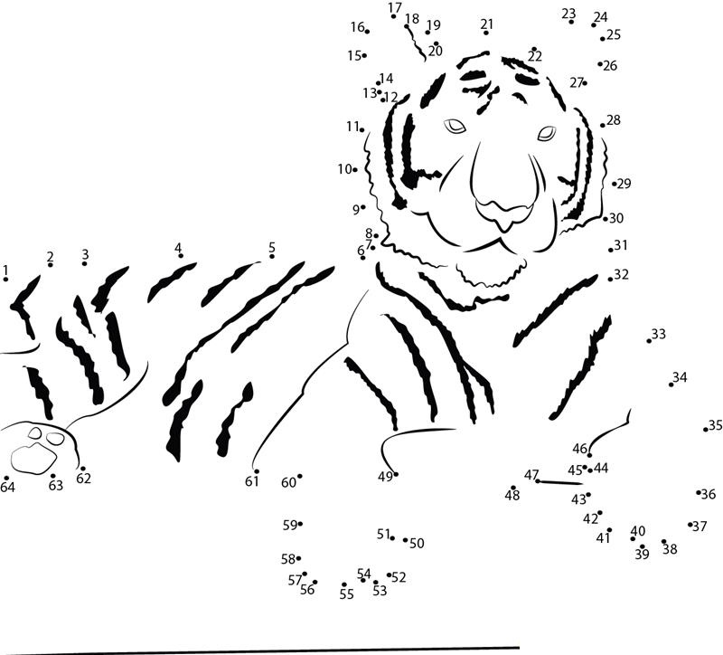 King Tiger printable dot to dot worksheet