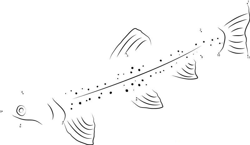 Brown Trout printable dot to dot worksheet