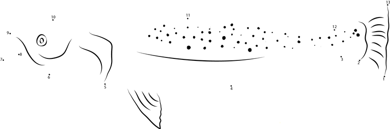 Gila Trout printable dot to dot worksheet