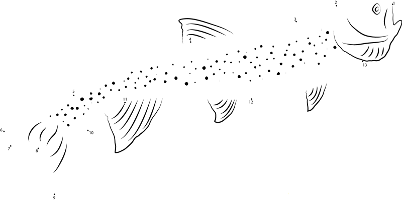 Grey Trout printable dot to dot worksheet