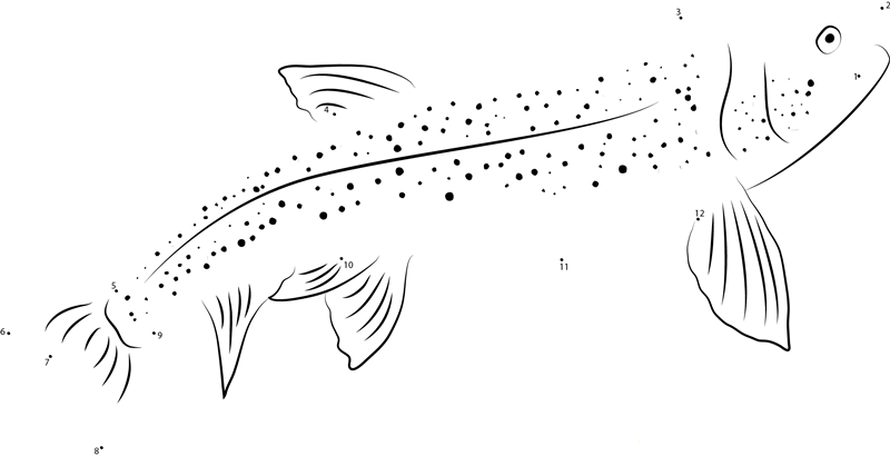 Lahontan Cutthroat Trout printable dot to dot worksheet