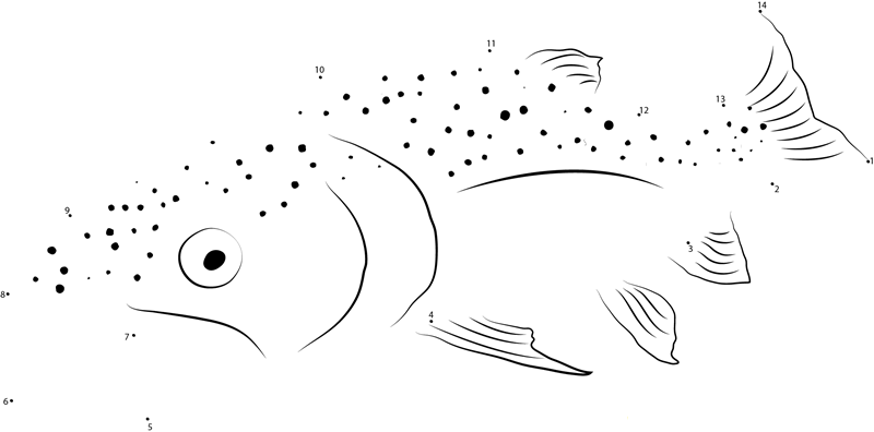 Ohrid Trout printable dot to dot worksheet