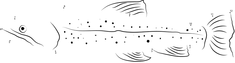 Salvelinus Fontinalis dot to dot worksheets