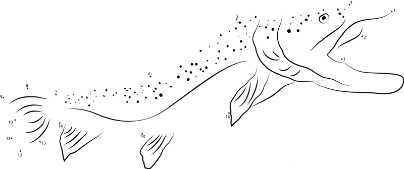 Sea Trout printable dot to dot worksheet