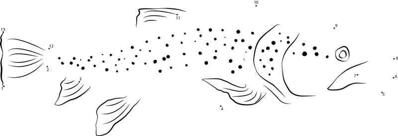 Sevan Trout printable dot to dot worksheet