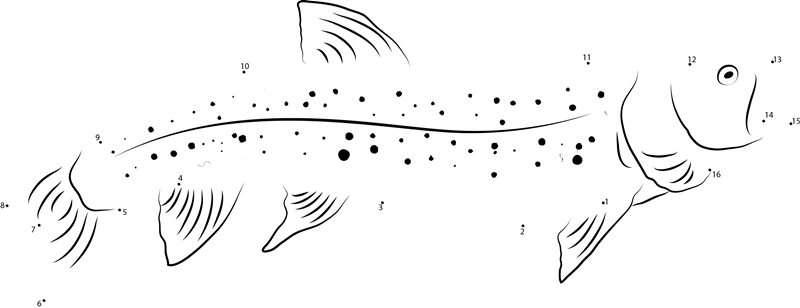 Silver Trout dot to dot worksheets