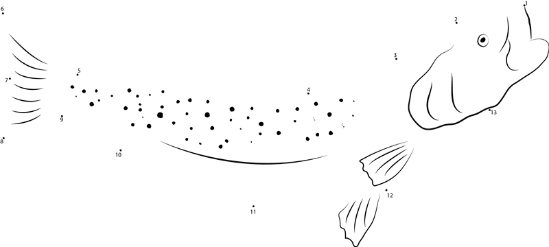 Spotted Sea Trout printable dot to dot worksheet