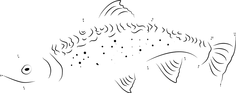 Trout printable dot to dot worksheet