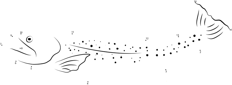 Yellowfin Cutthroat Trout printable dot to dot worksheet