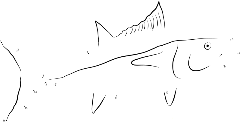 Thunnus Atlanticus dot to dot worksheets