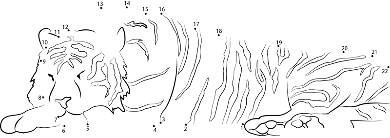 Sleeping Tiger dot to dot worksheets