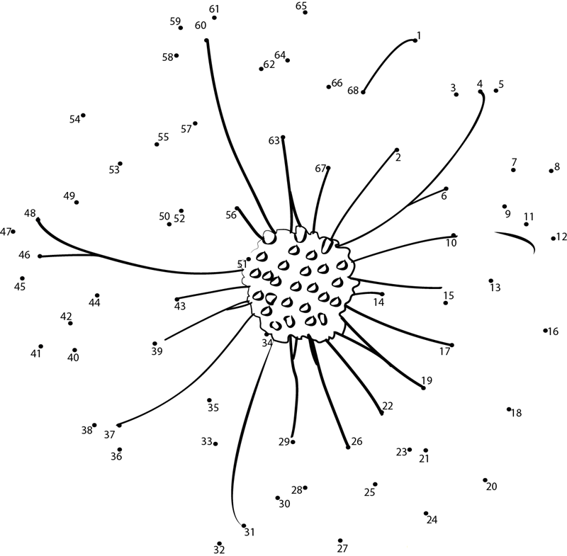 Aster printable dot to dot worksheet