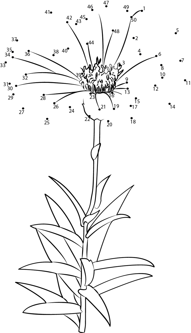 Aster Flower printable dot to dot worksheet