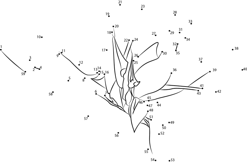 Bird Of Paradise printable dot to dot worksheet