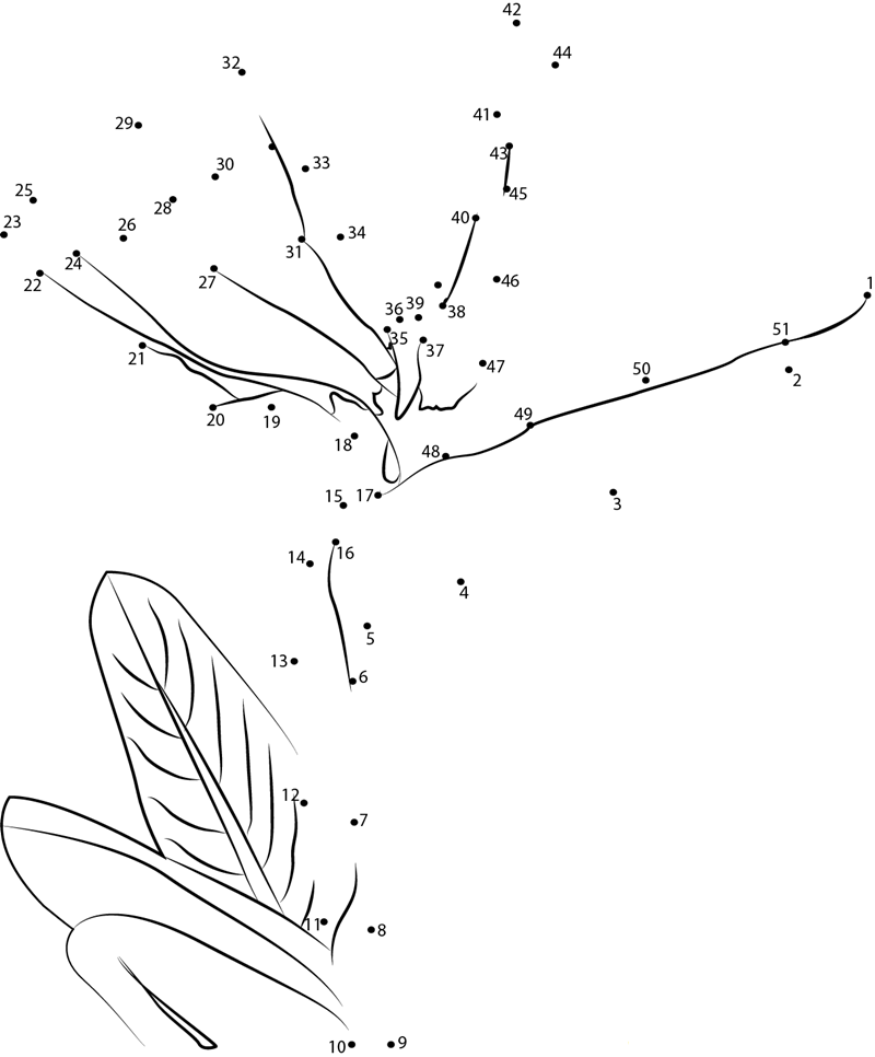 Bird Of Paradise Flower printable dot to dot worksheet