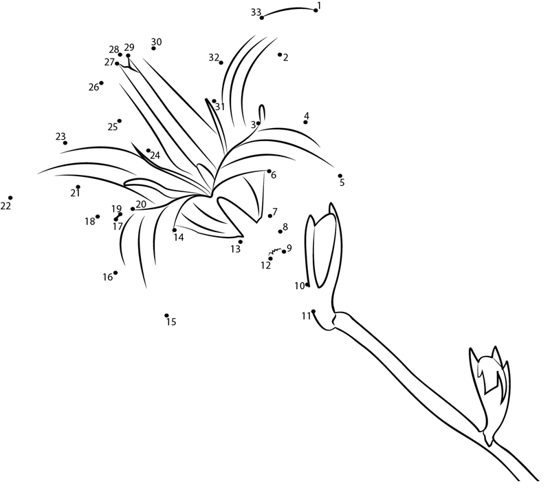 Campanula F printable dot to dot worksheet