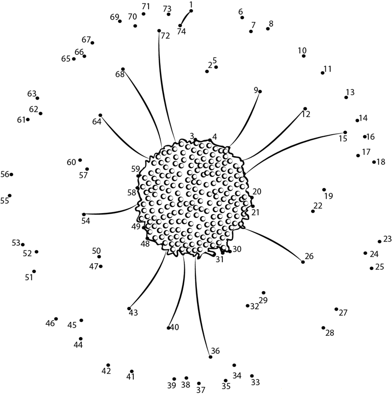 Chrysanthemum Flower printable dot to dot worksheet