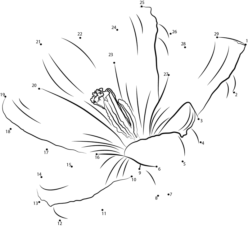 Crocus Flower printable dot to dot worksheet