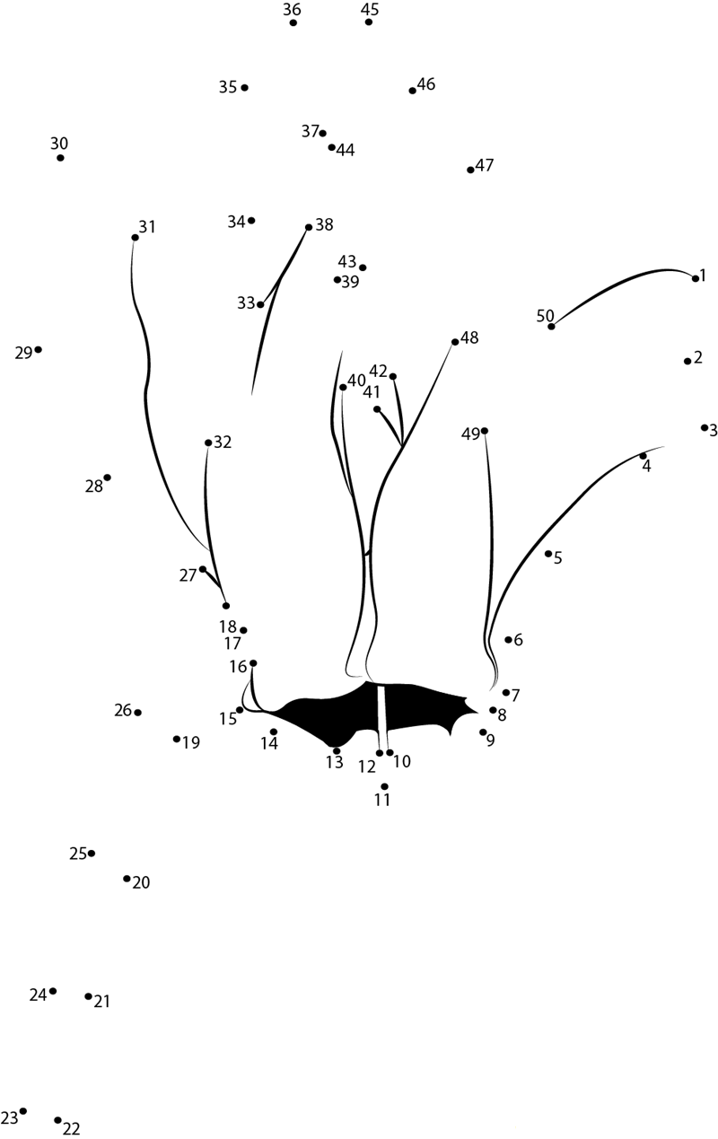 Cyclamen printable dot to dot worksheet