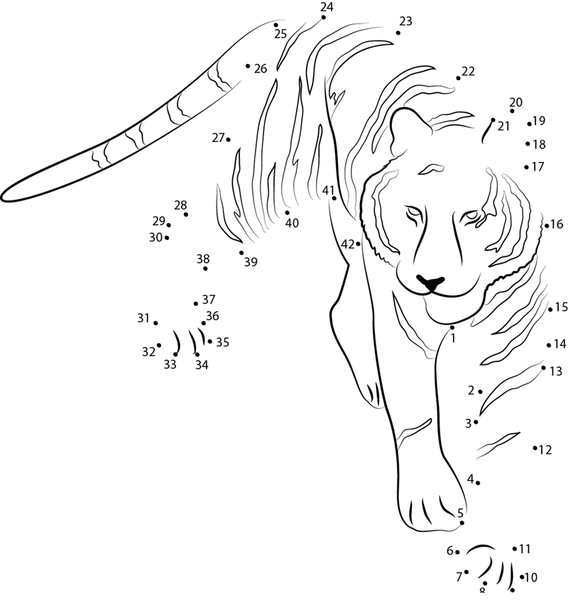 Tiger At See dot to dot worksheets