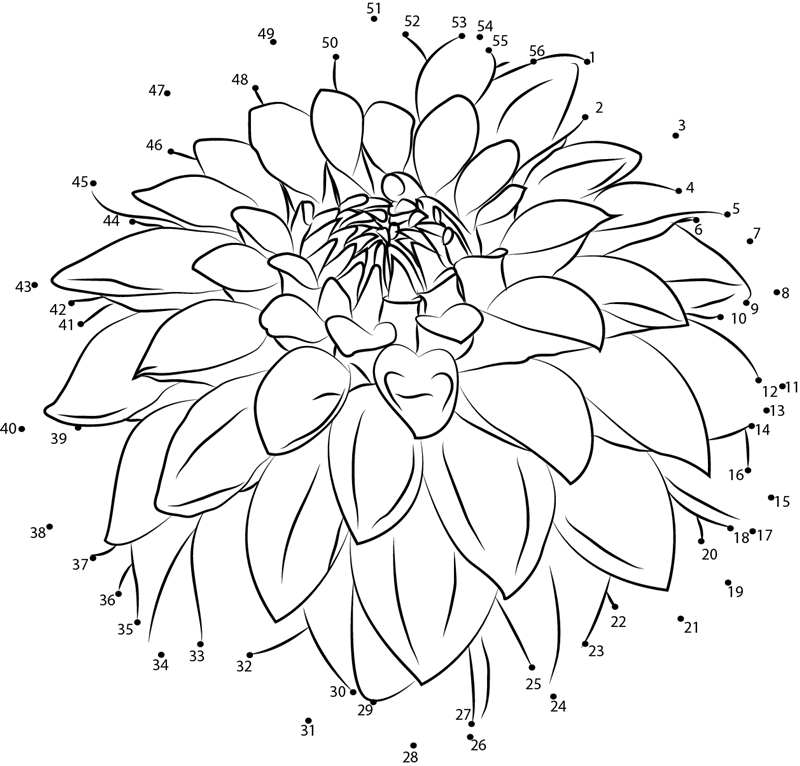 Dahlia printable dot to dot worksheet