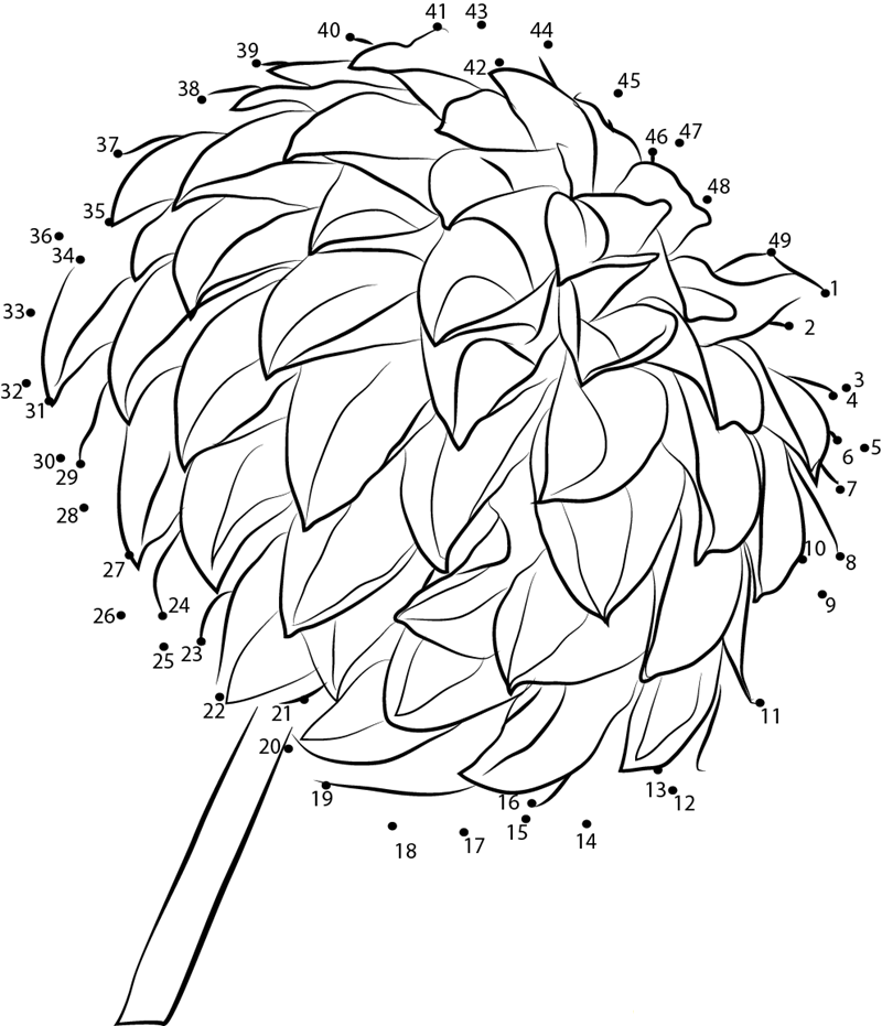 Dahlia F2 printable dot to dot worksheet